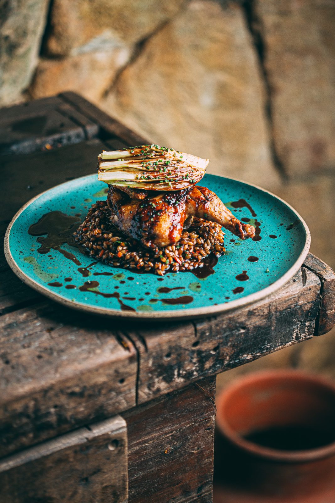Pollo